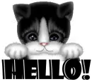 hello!