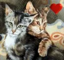 kittens