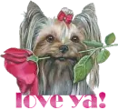 love ya!