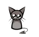 sad cat