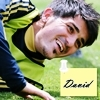 David Villa
