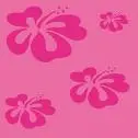 pink girl