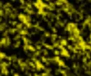 yellow neon black