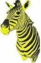 zebra