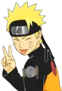 Naruto Victory