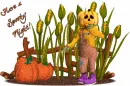 Spooky Night