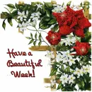 Have a Beautiful Week