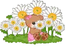 Sunflower Bear