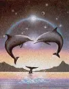 dolphin