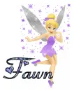 Fawn