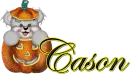 Cason