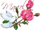 White dove - Mariel