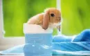 cute  