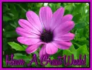 Have A Great Week!