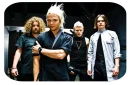 the rasmus