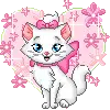 Kawaii Marie Cat