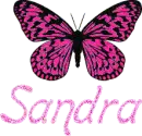 Sandra - Butterfly