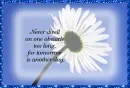 Inspirational Quote