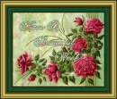 beautiful week roses