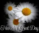Have A Great Day