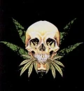 dre-weed-skull