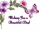 Beautiful Day