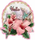 Hello