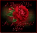 Rose For you