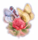 Hi Friend