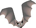 bat2