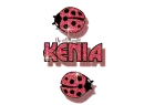 red traveling ladybugs kenia