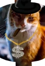 mafia cat