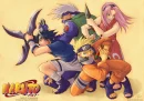 team 7