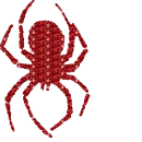 spider