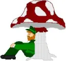 st patricks day