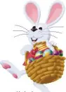 bunny