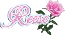 Reese Pink Rose