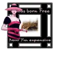 Born Free