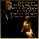 Fly Me to the Moon