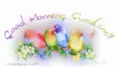 Good Morning Birdies