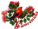 bienvenida