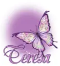 Butterfly Bling Purple-Teresa