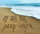 poop