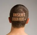 brain