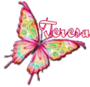 Pink butterfly - Teresa