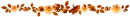 Autum Divider