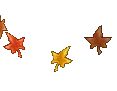 Blowing leaves