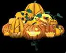 pumpkins