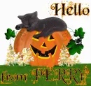 Perry