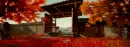 Autumn Leaves Falling